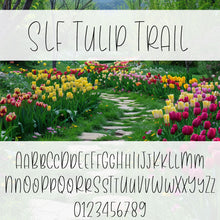 Load image into Gallery viewer, slf tulip trail single line font character examples