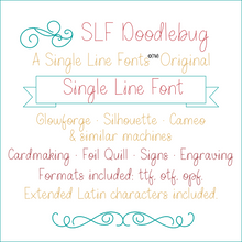 Load image into Gallery viewer, slf doodlebug single line font example